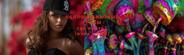 прущие крисы Ельня