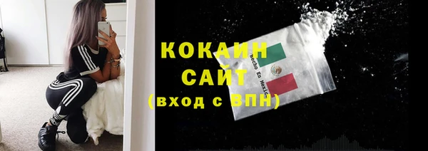 прущие крисы Ельня