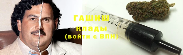 прущие крисы Ельня