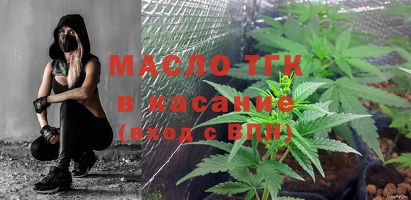 прущие крисы Ельня