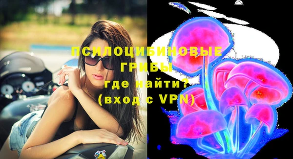 а пвп мука Елабуга