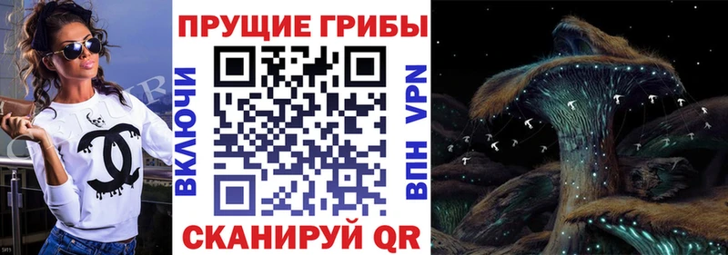 Псилоцибиновые грибы Psilocybe  Купить где  Южно-Сухокумск 